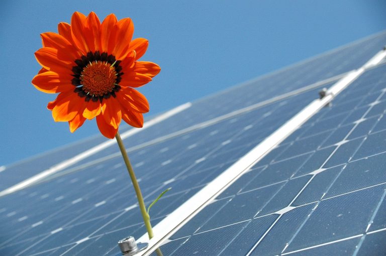 Pflicht zum Vorhalten von Photovoltaikanlagen